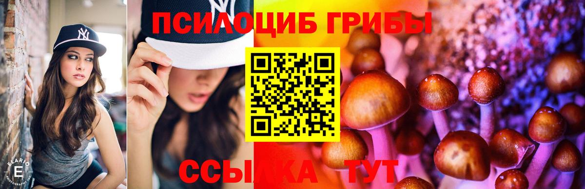 Псилоцибиновые грибы GOLDEN TEACHER  Вход с VPN  Павлово  Псилоцибиновые грибы Magic Shrooms 