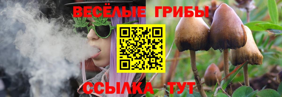 Псилоцибиновые грибы Psilocybine cubensis Павлово